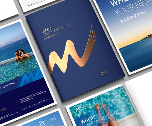 一般整套vi設(shè)計(jì)需要多少錢 ？