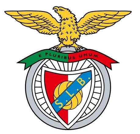 1668475929202157.jpg 10.jpg